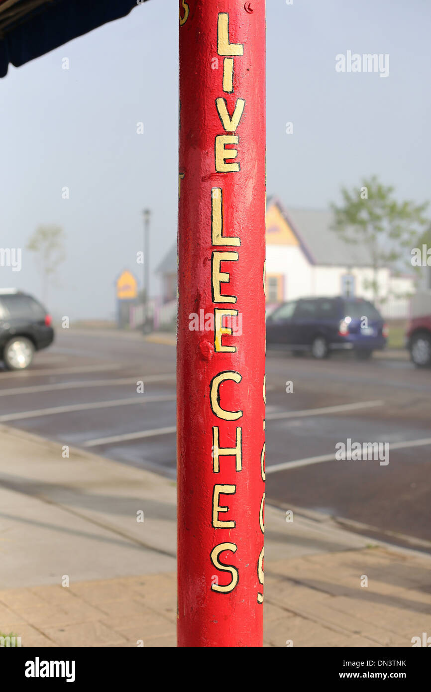 A post with a sign reading "Live Leeches" in Grand Marais, Minnesota. Stock Photo