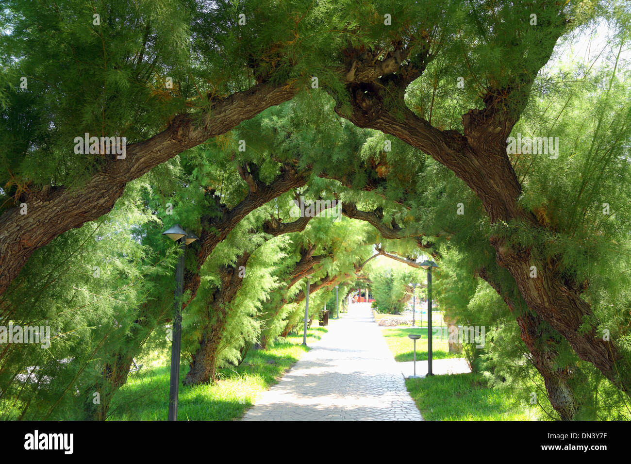 Under the footpath hi-res stock photography and images - Alamy