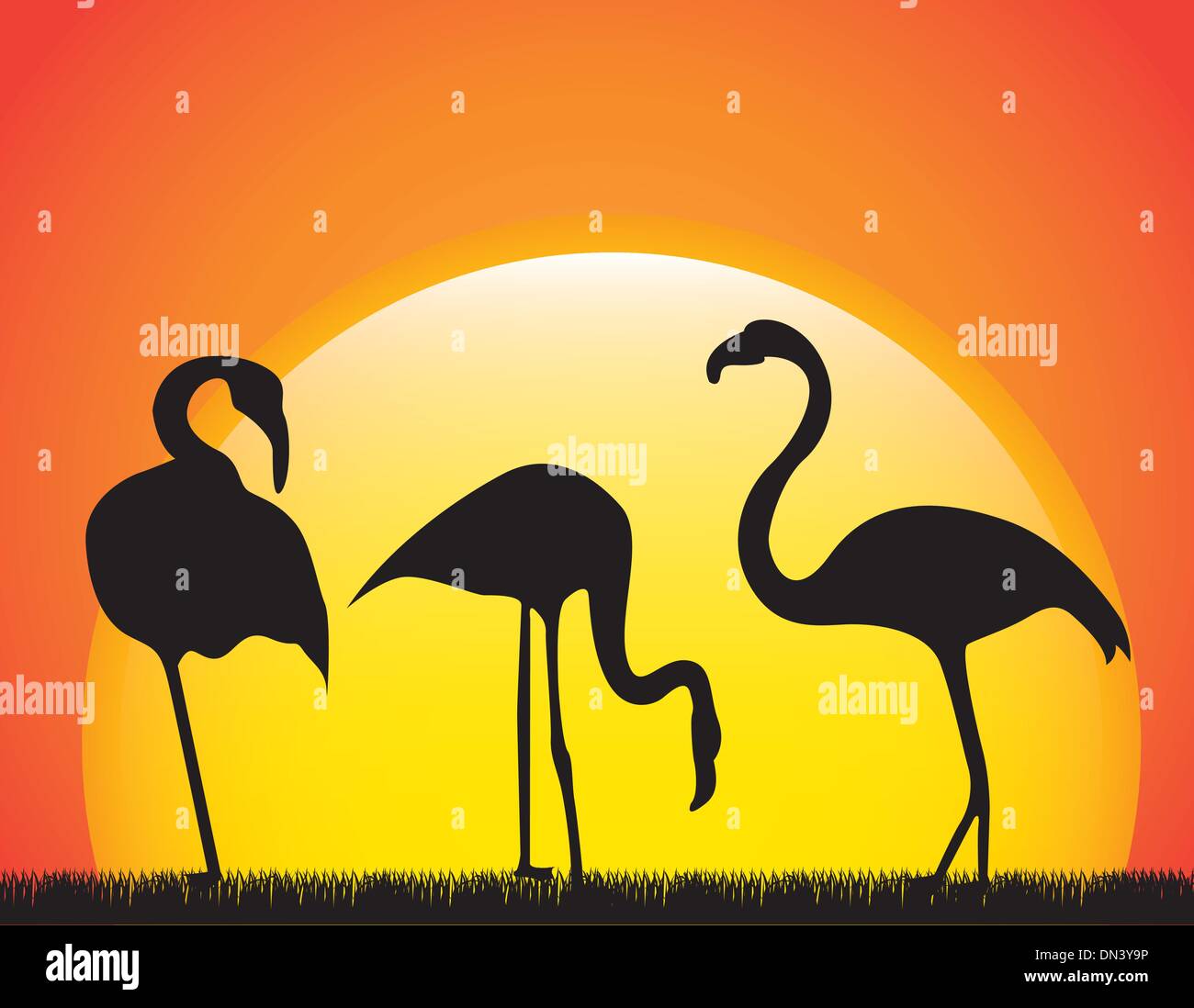 Yellow flamingo Stock Vector Images - Alamy