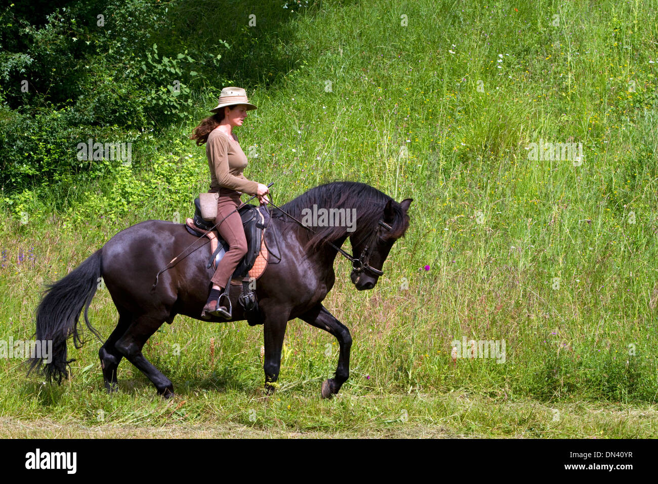 French woman riding her horse on a farm near Angouleme in southwestern France. Stock Photo