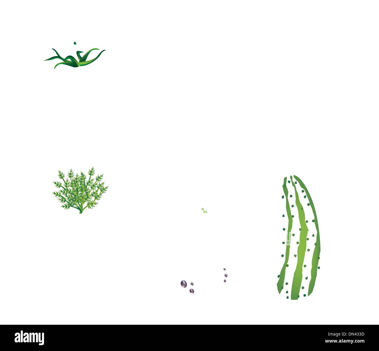 Group Of Vegetables Stock Vector Images - Alamy