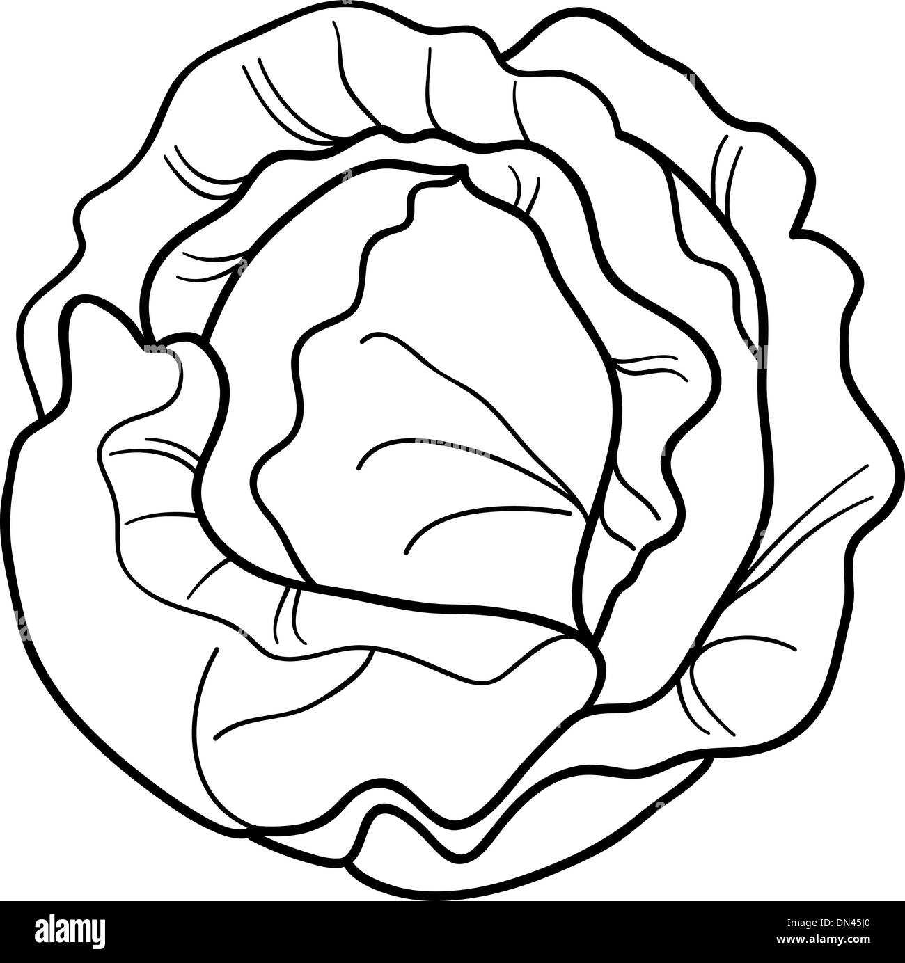 cabbage vegetable cartoon for coloring book Stock Vector