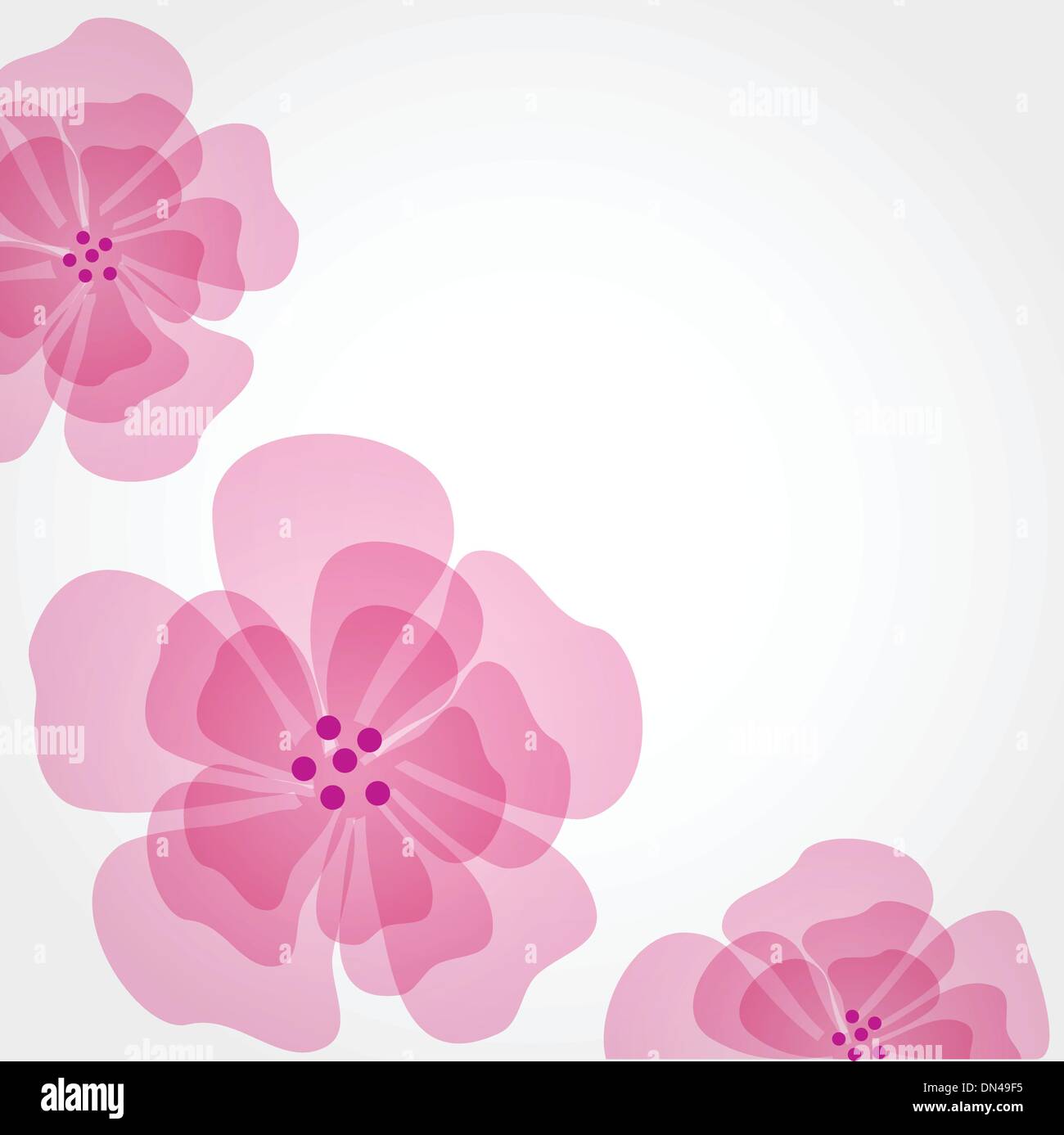 Vintage floral card with handdrawn flowers Stock Vector Image & Art - Alamy