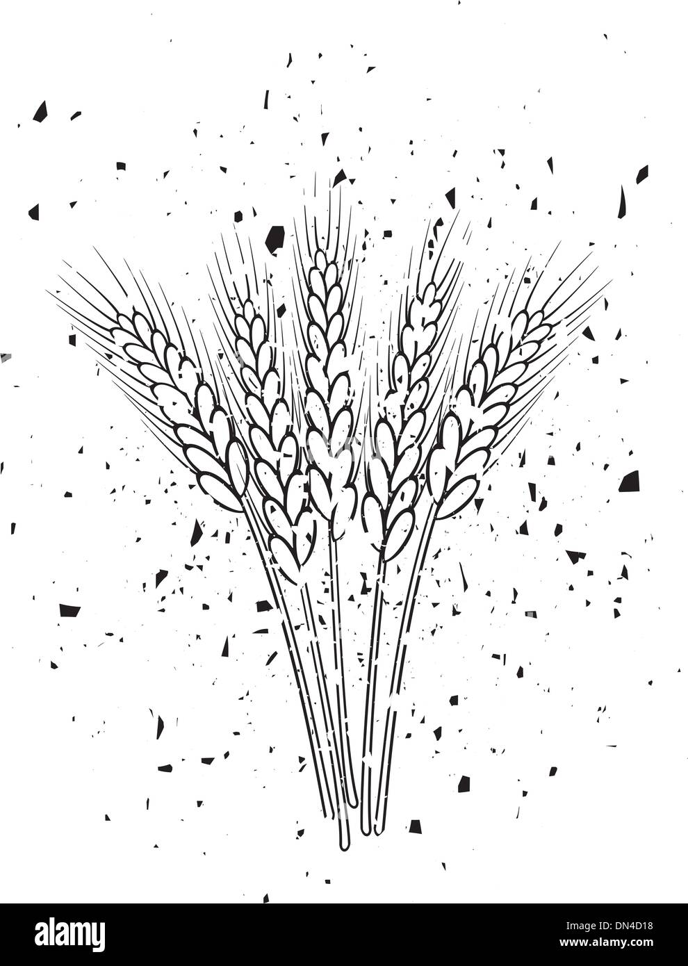 bunch of vector black and white wheat ears in grungy style Stock Vector