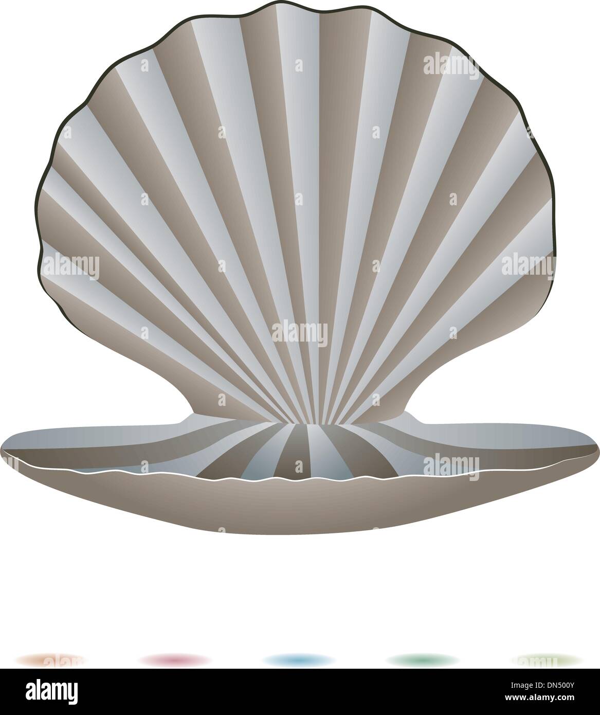 vector pearls and a shell Stock Vector Image & Art - Alamy