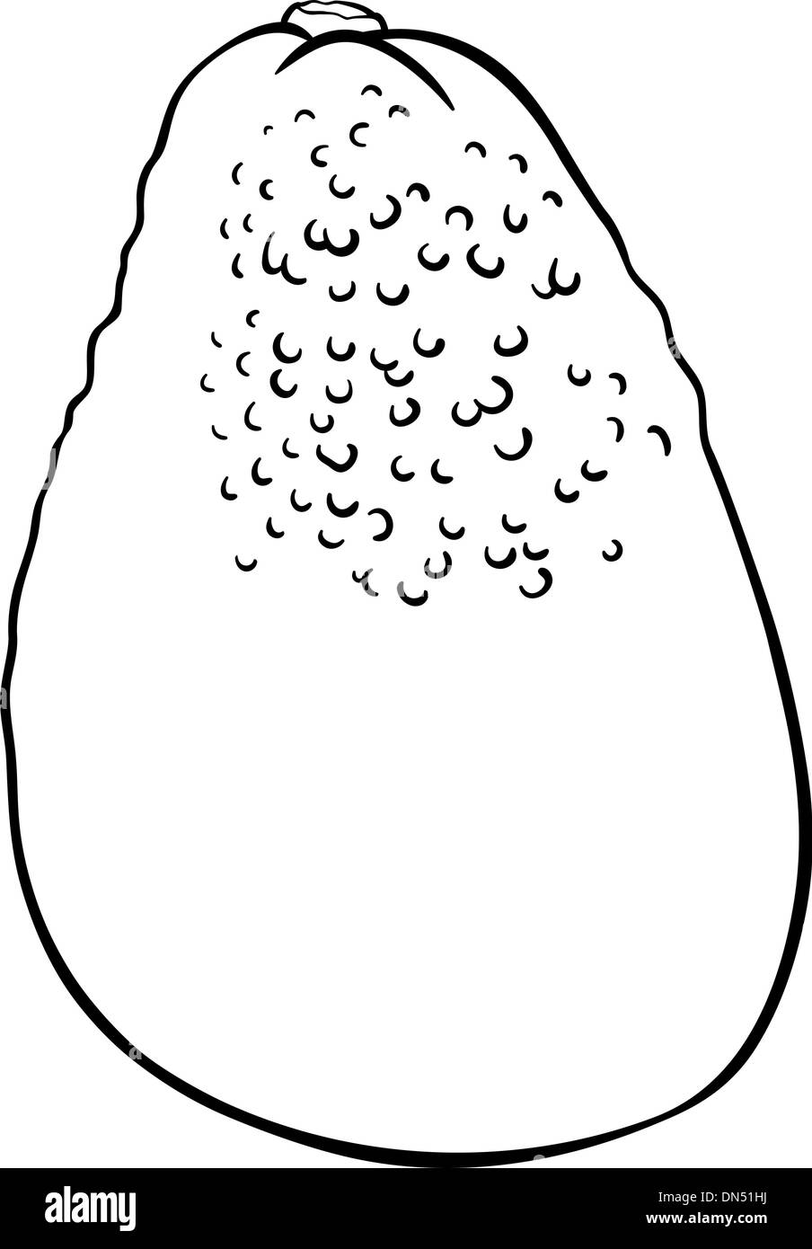 Avocado Fruit Coloring Book High Resolution Stock Photography And Images Alamy