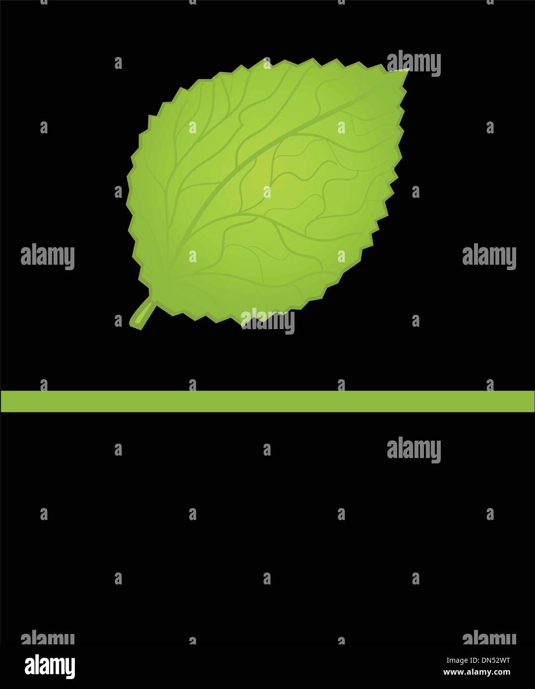 Green maple leaf illustration Stock Vector Image & Art - Alamy