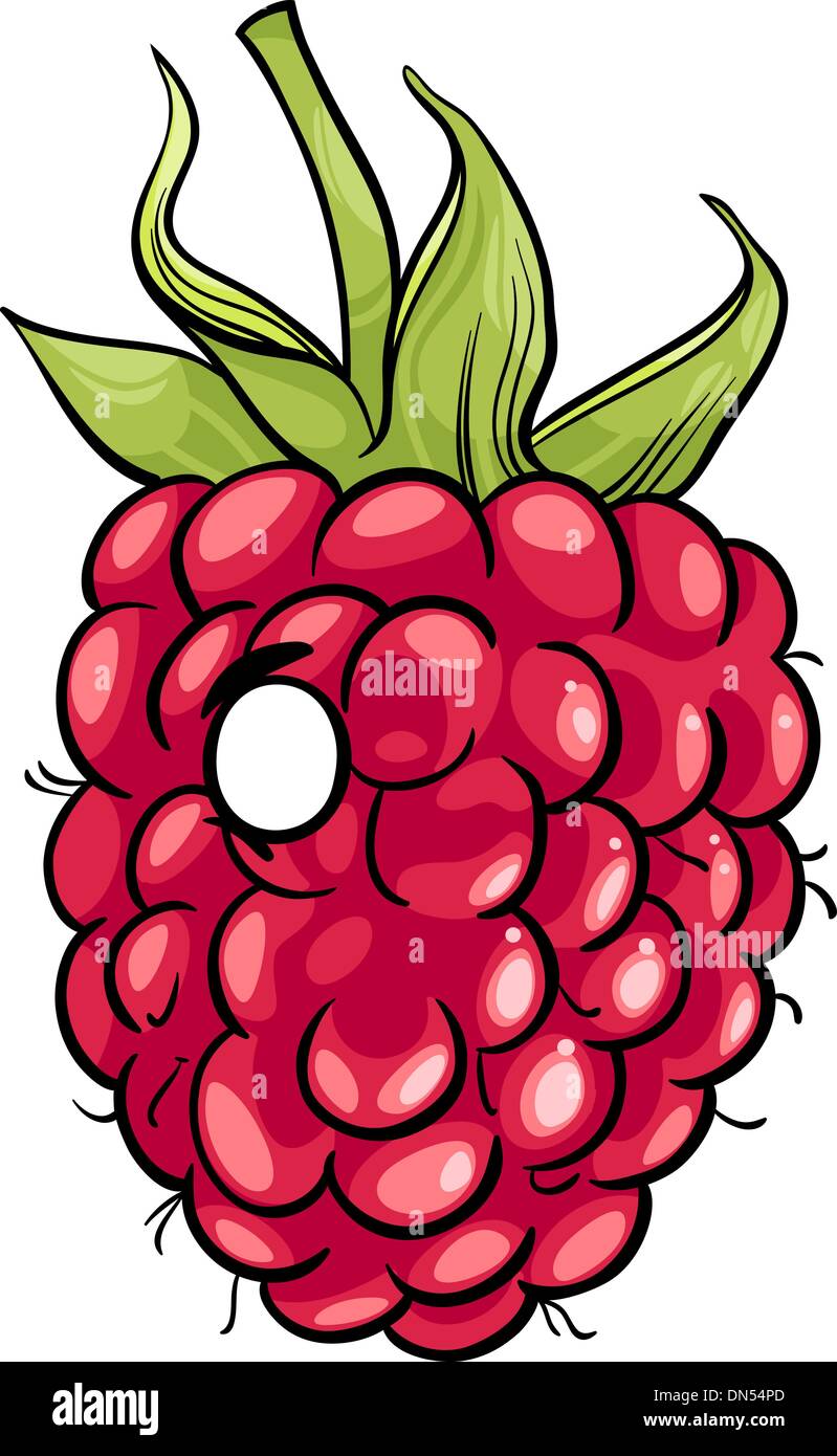 funny raspberry fruit cartoon illustration Stock Vector Image & Art - Alamy