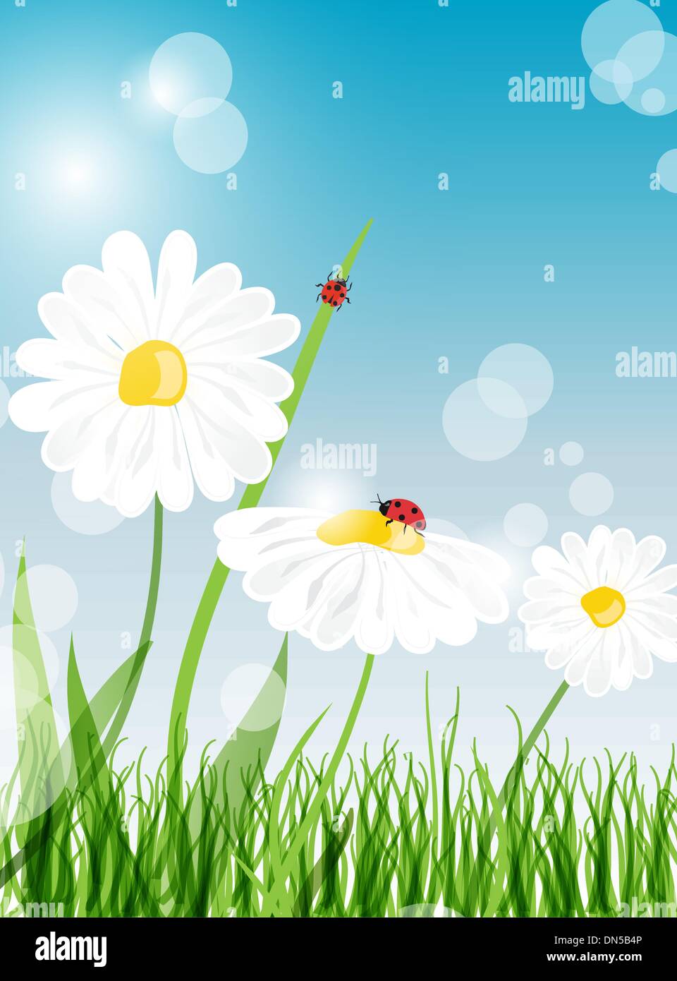 beautiful flower daisy on background Stock Vector