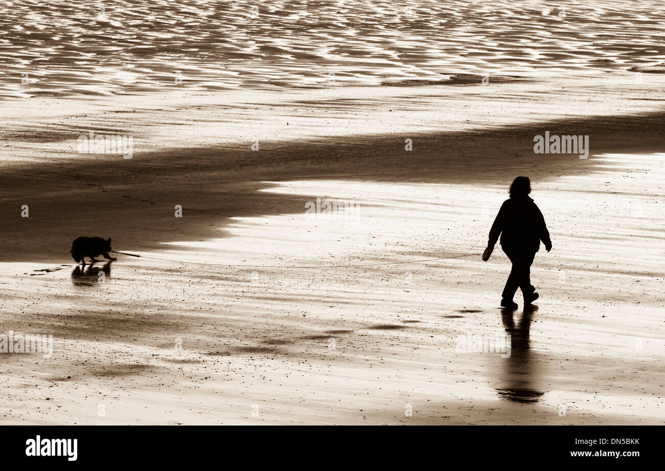 Dog walker on Seaton Carew beach near Hartlepool, England. UK Stock