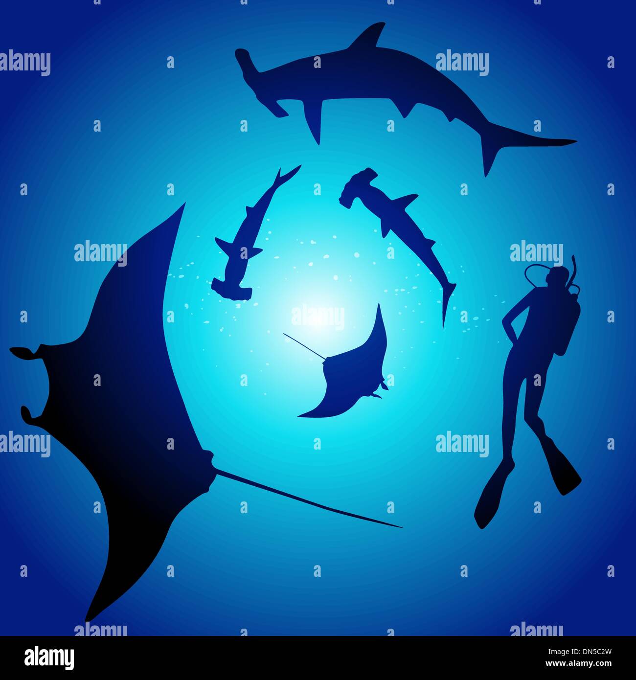 Shark and diver, swimming with sharks Stock Vector