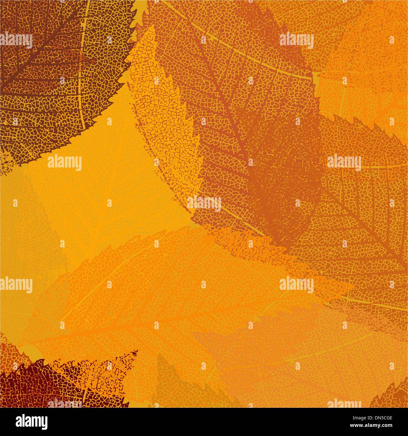 Dry autumn leaves template. EPS 8 Stock Vector Image & Art - Alamy