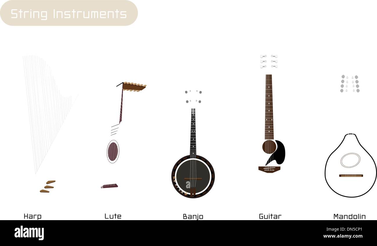 Five Musical Instrument Strings on White Background Stock Vector Image & Art Alamy