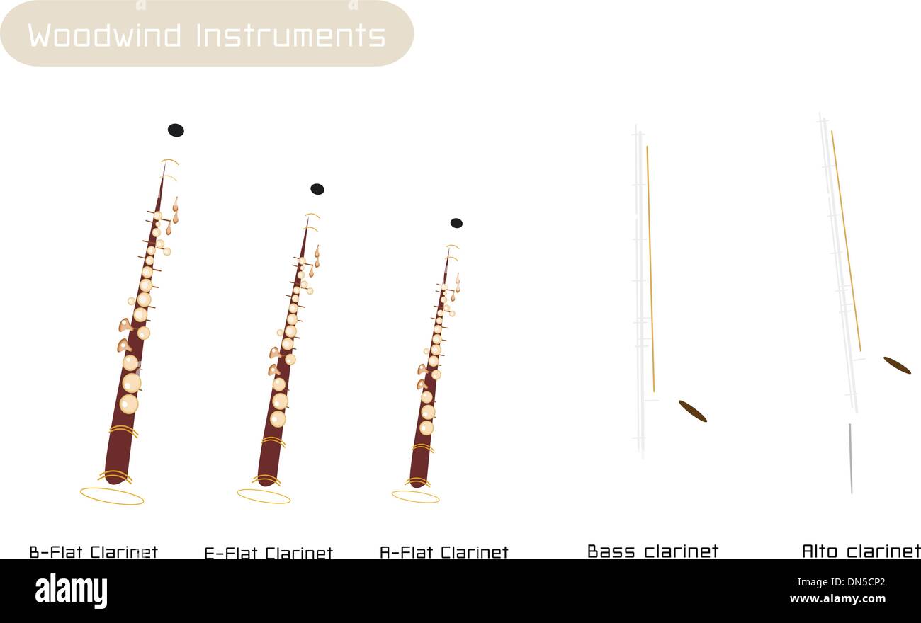 Various Kind of Clarinets Isolated on White Background Stock Vector