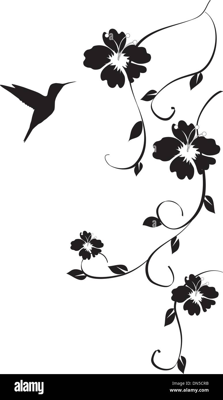 hummingbird and flowers Stock Vector Image \u0026 Art - Alamy, image size:774x1390
