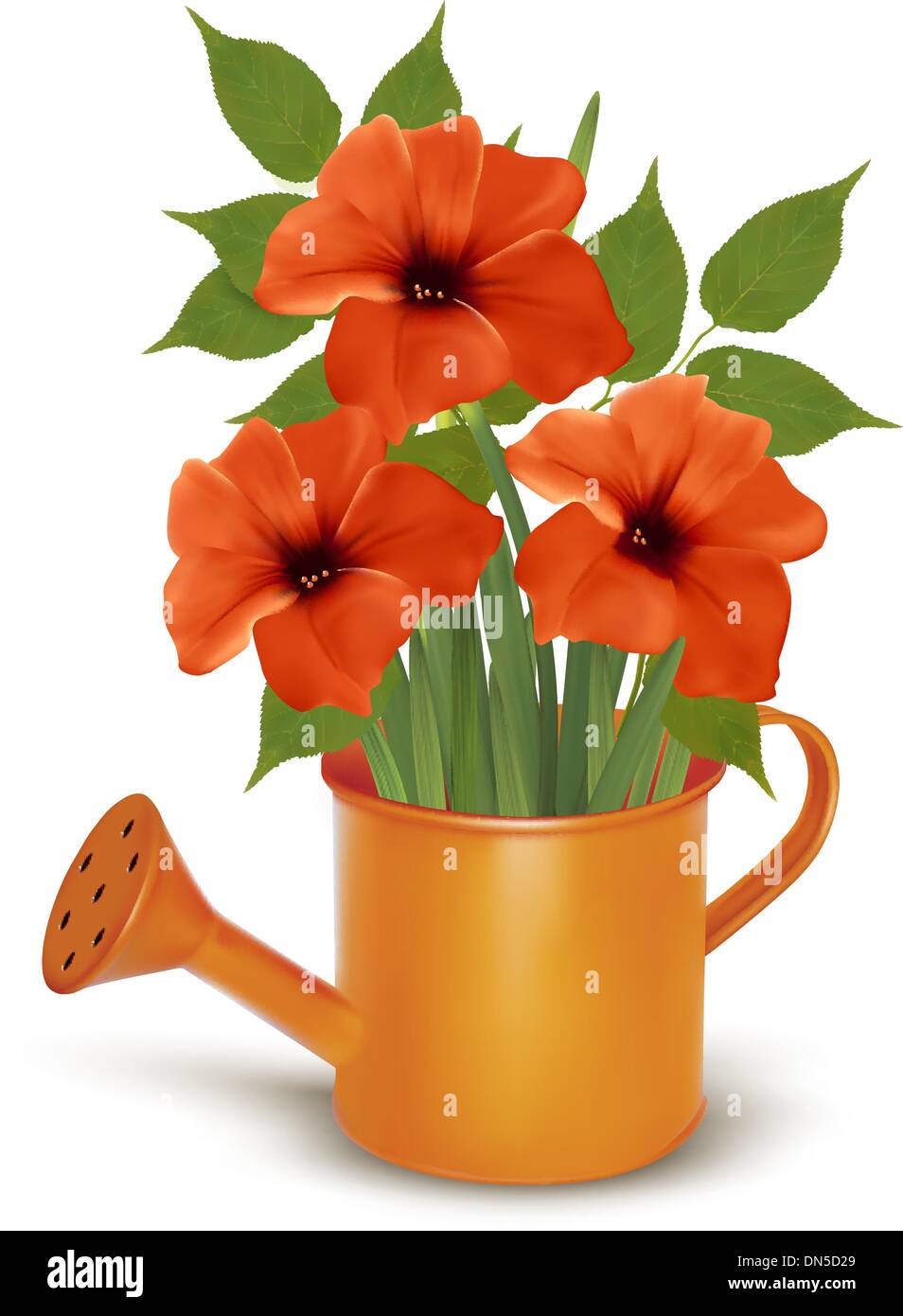 Watering can with flowers Stock Vector Images Alamy