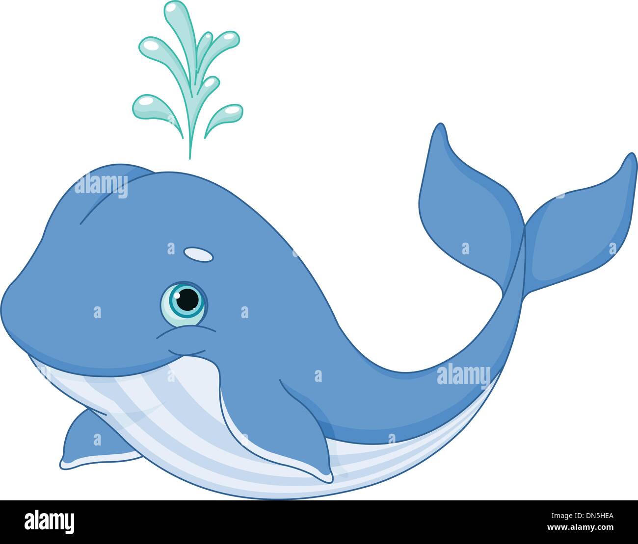 Blue whale spraying hi-res stock photography and images - Alamy