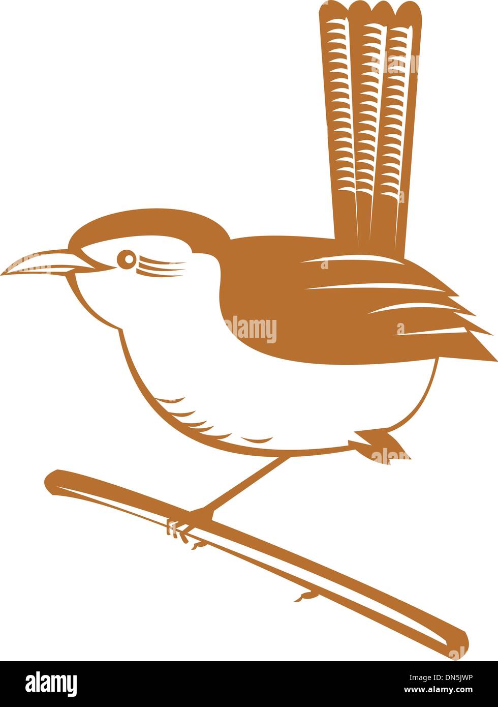 Wren on branch Stock Vector Images - Alamy