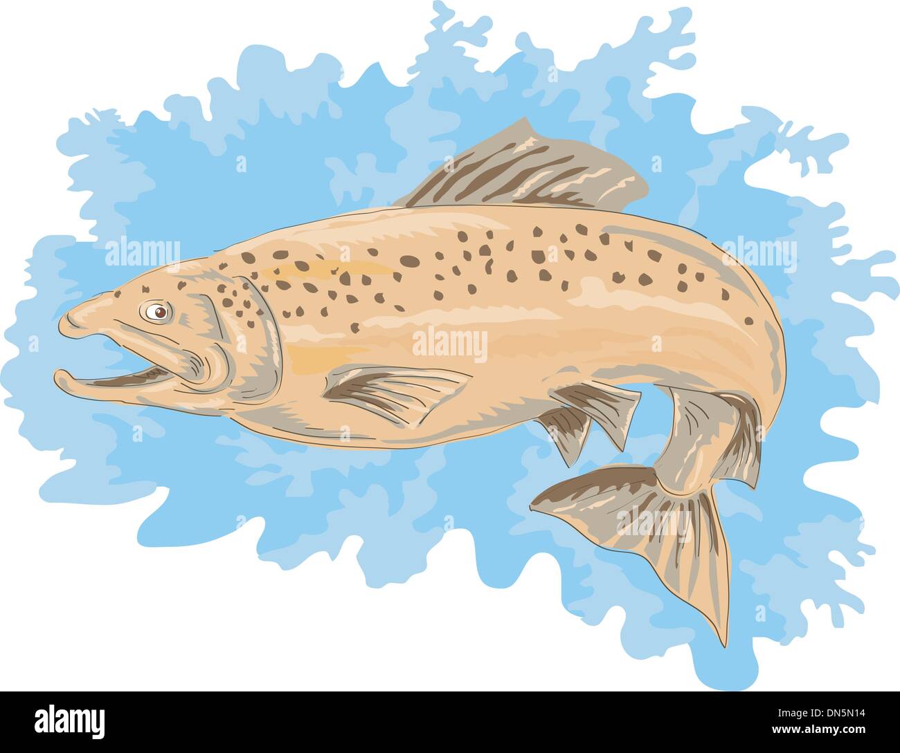 trout fish jumping Stock Vector