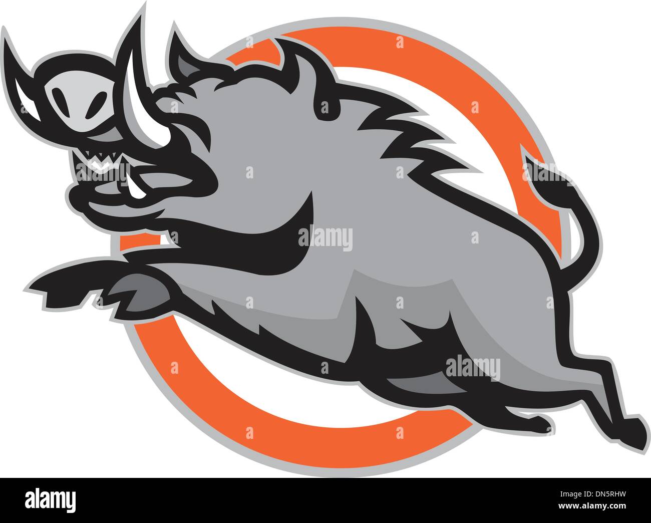 Wild Pig Boar Razorback Jumping Circle Stock Vector Image & Art - Alamy