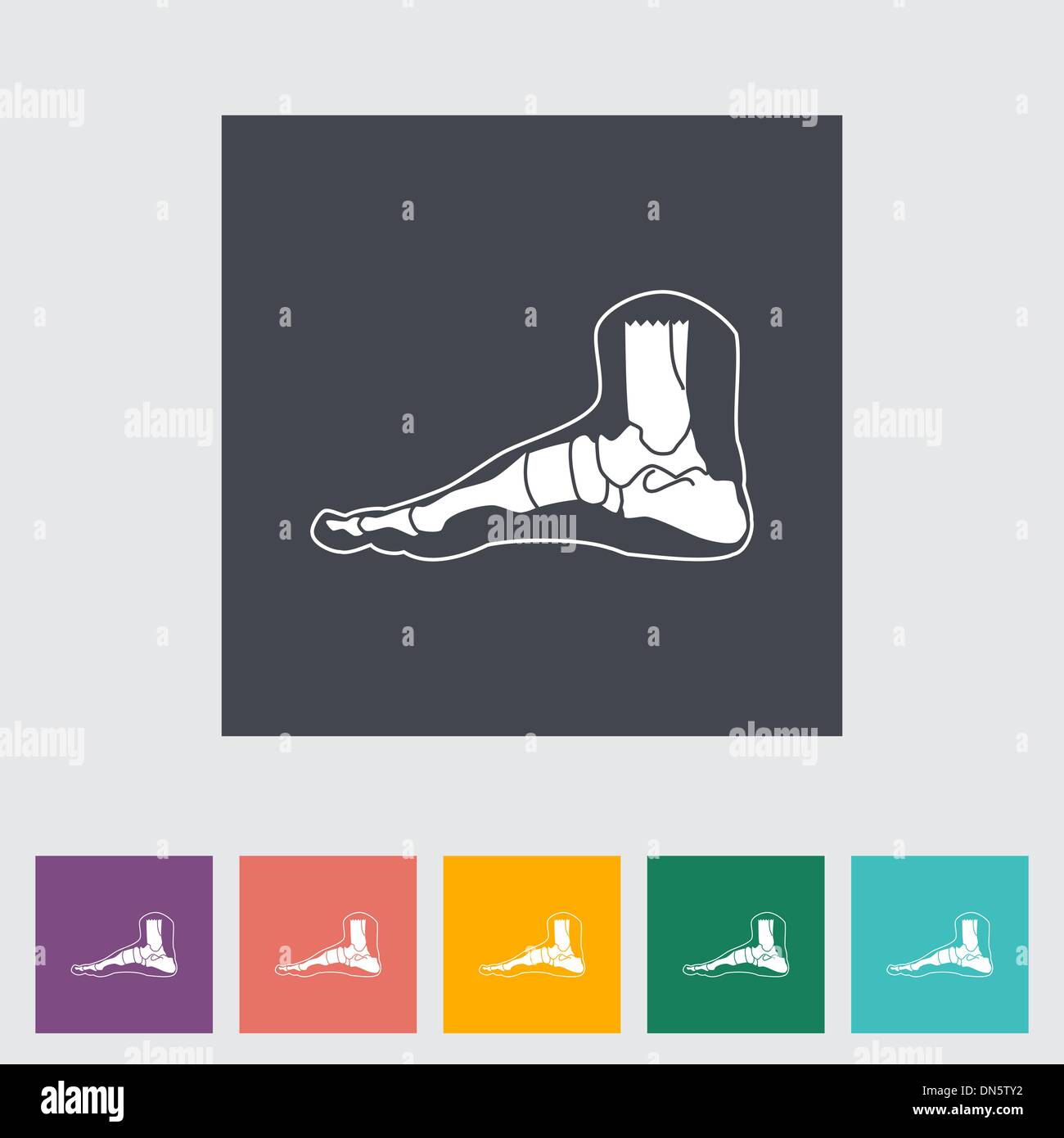 Foot anatomy flat icon Stock Vector Image & Art Alamy
