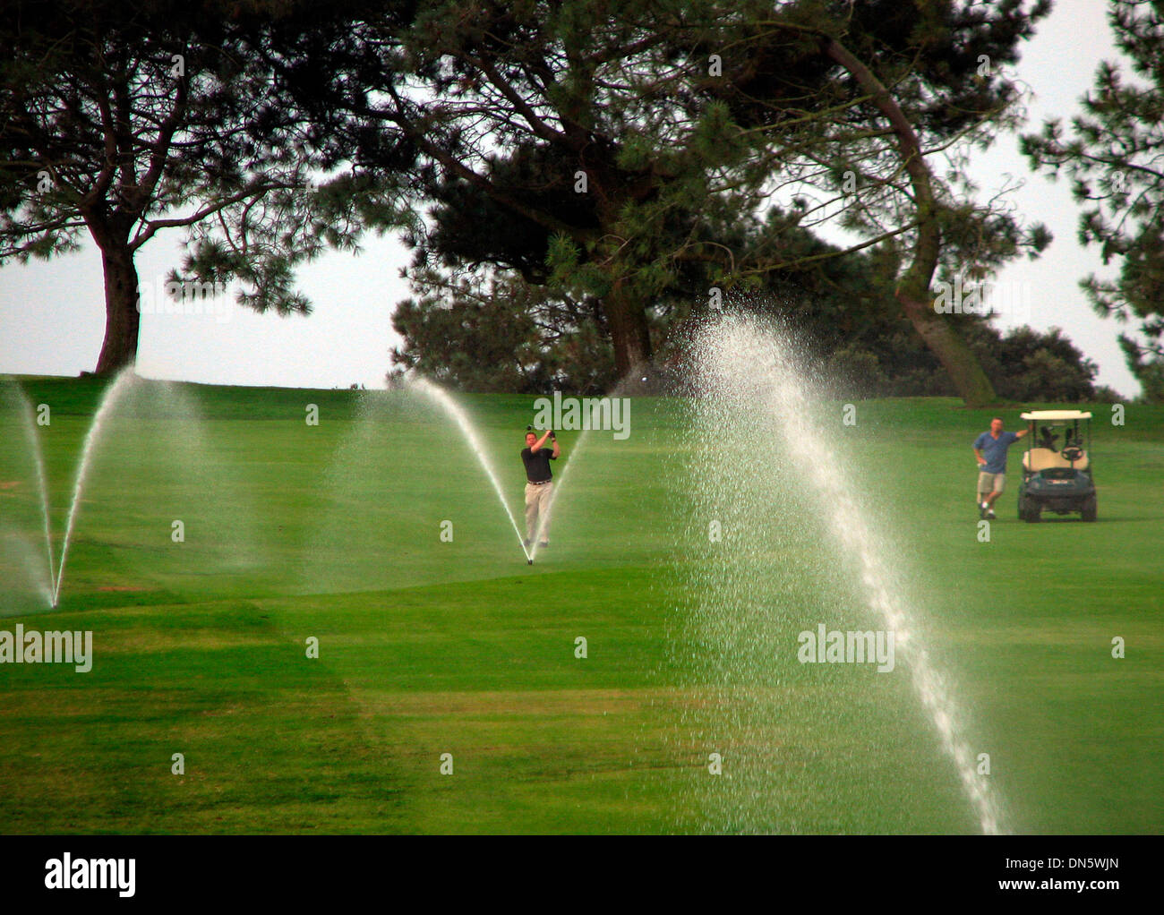 Overseeding High Resolution Stock Photography And Images Alamy