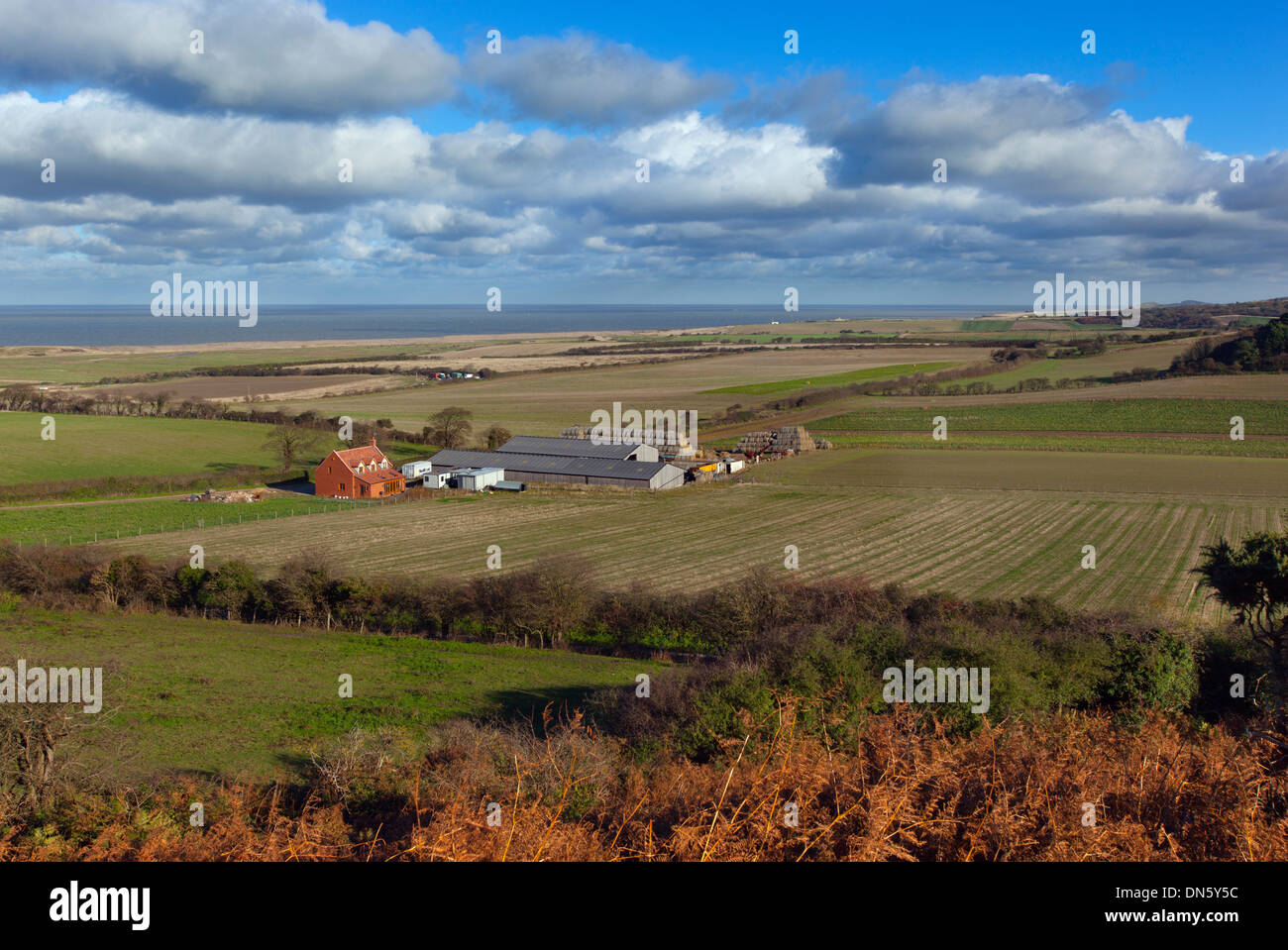 Coastal farm hi-res stock photography and images - Alamy