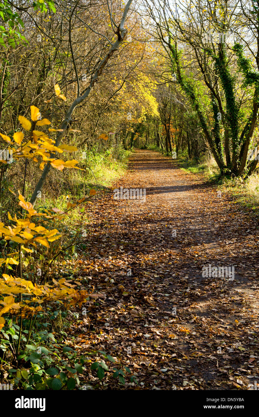 Sustrans Route 47 cycle path near Hengoed Viaduct, Rhymney valley South Wales. Stock Photo