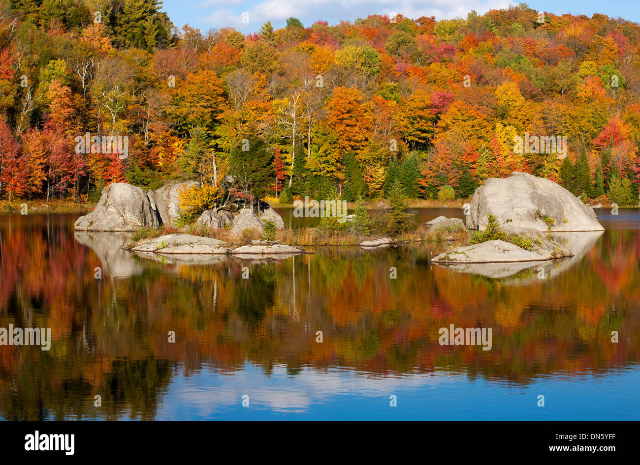 Forest and large rocks being reflected in beaver pond in autumn