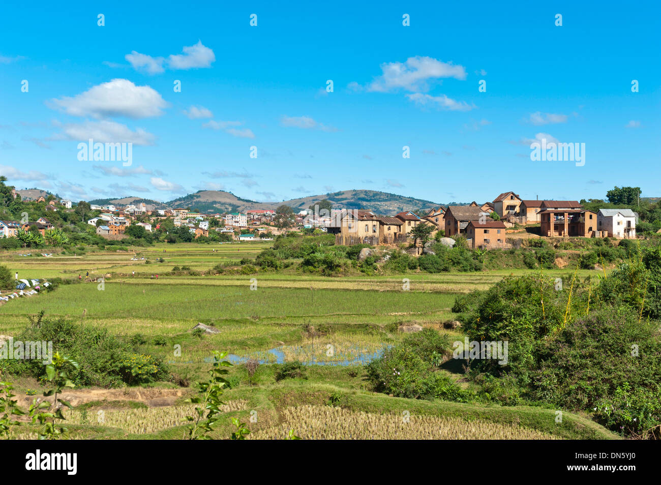 Village of the Betsileo pople with terraced rice paddies, Ambositra, Madagascar Stock Photo