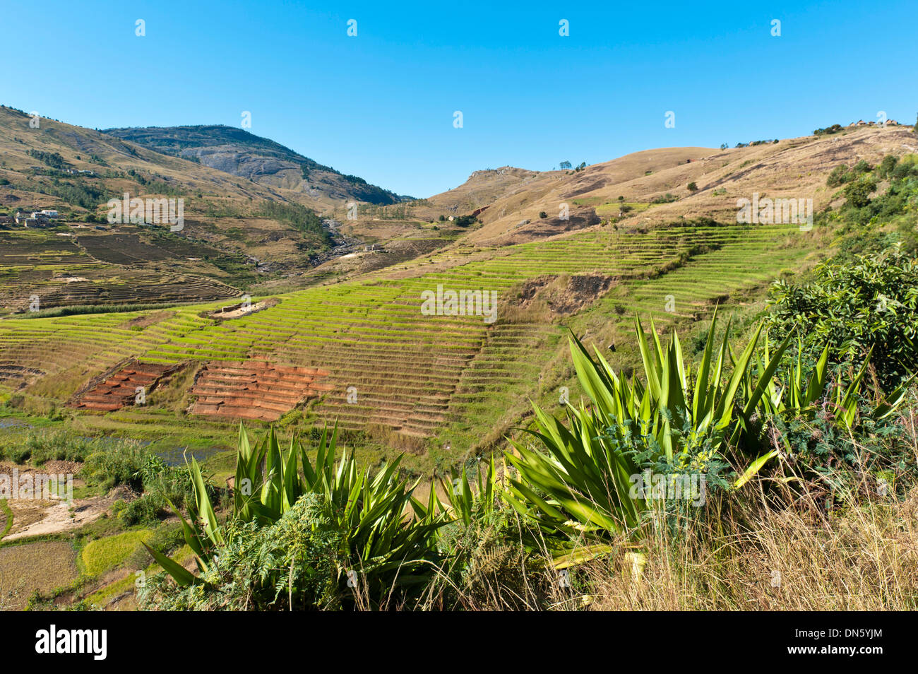 Landscape, steep terraced rice fields paddies of the Betsileo people, rocky mountains, Anja-Park near Ambalavao, Madagascar Stock Photo