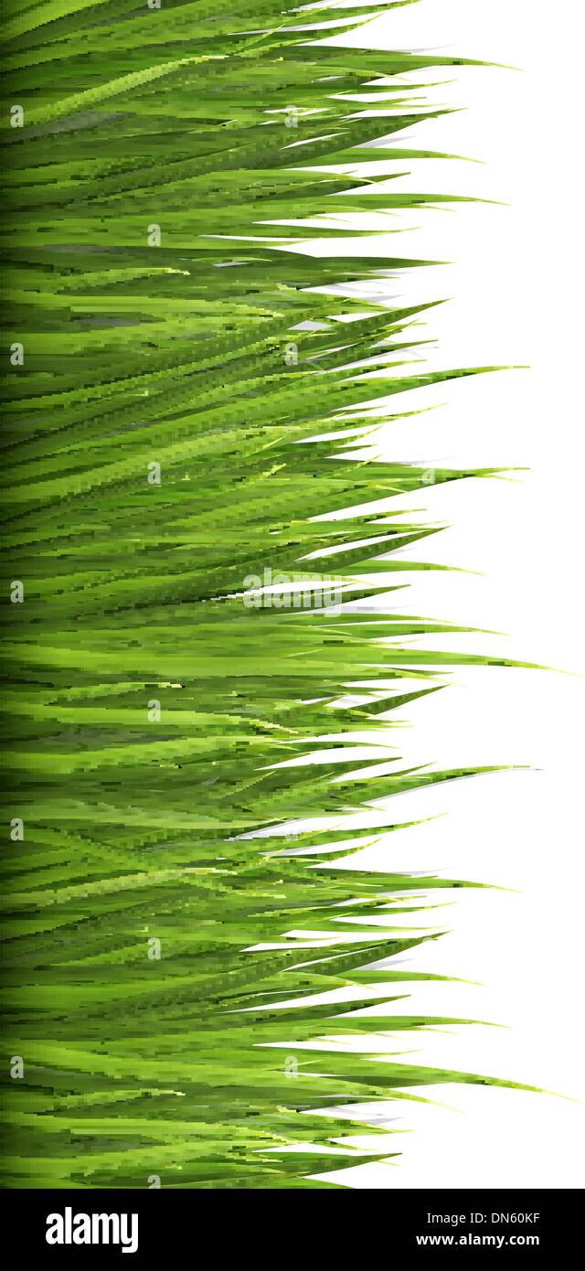 Nature background with green grass. Vector Stock Vector Image & Art - Alamy