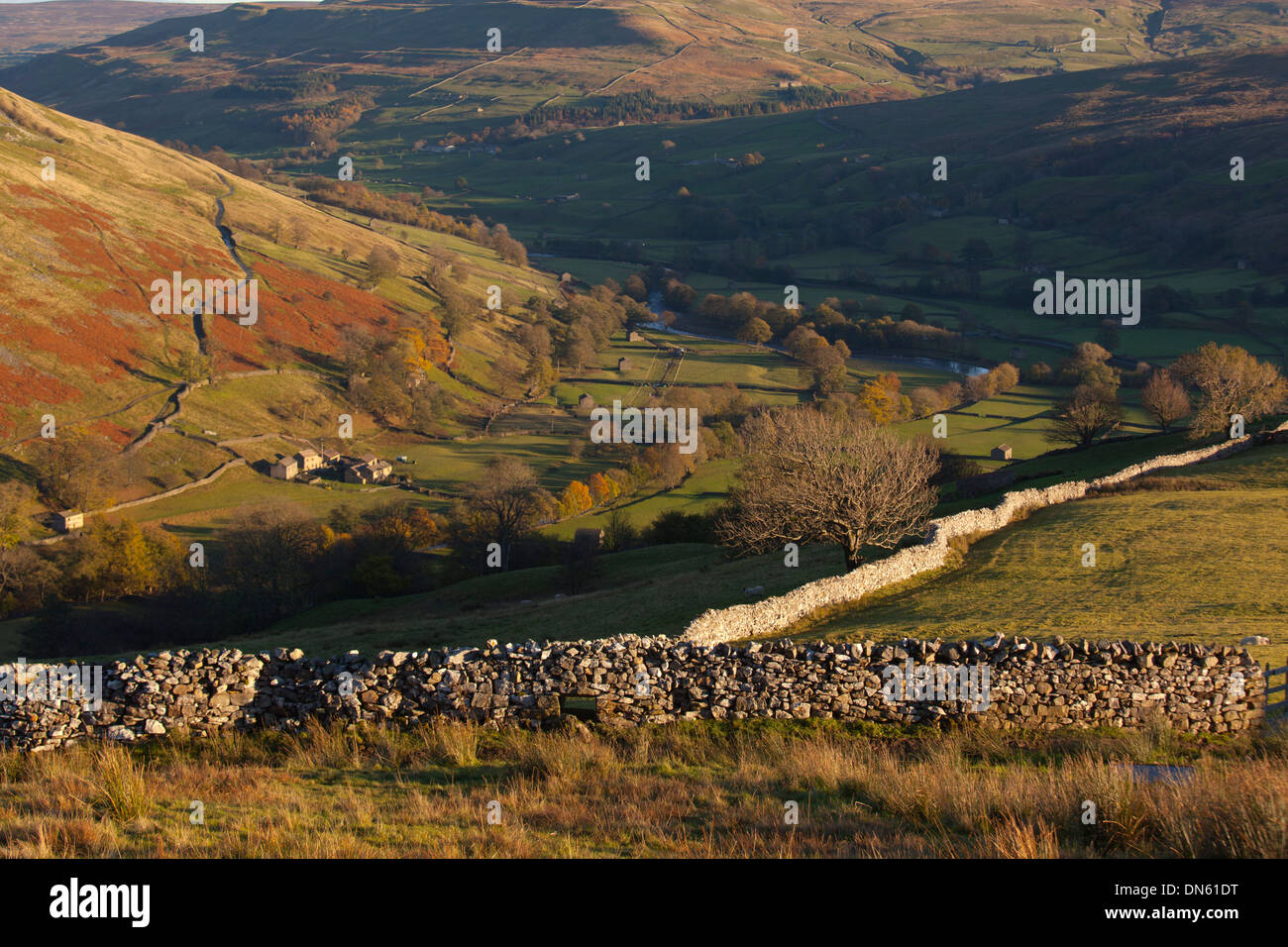 Swaledale near Muker Village in the Yorkshire Dales National Park in Autumn Stock Photo