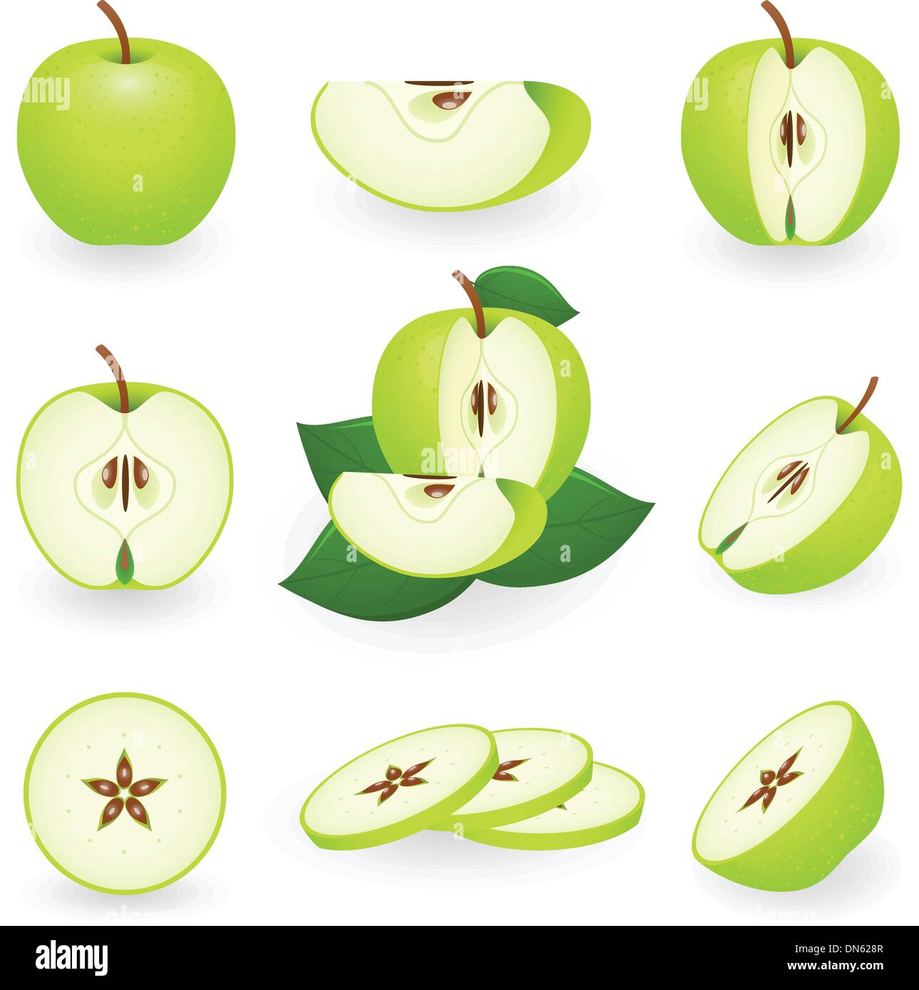 Green apple Stock Vector