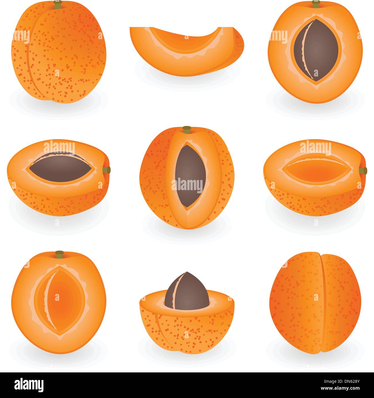 Icon Set Apricot Stock Vector
