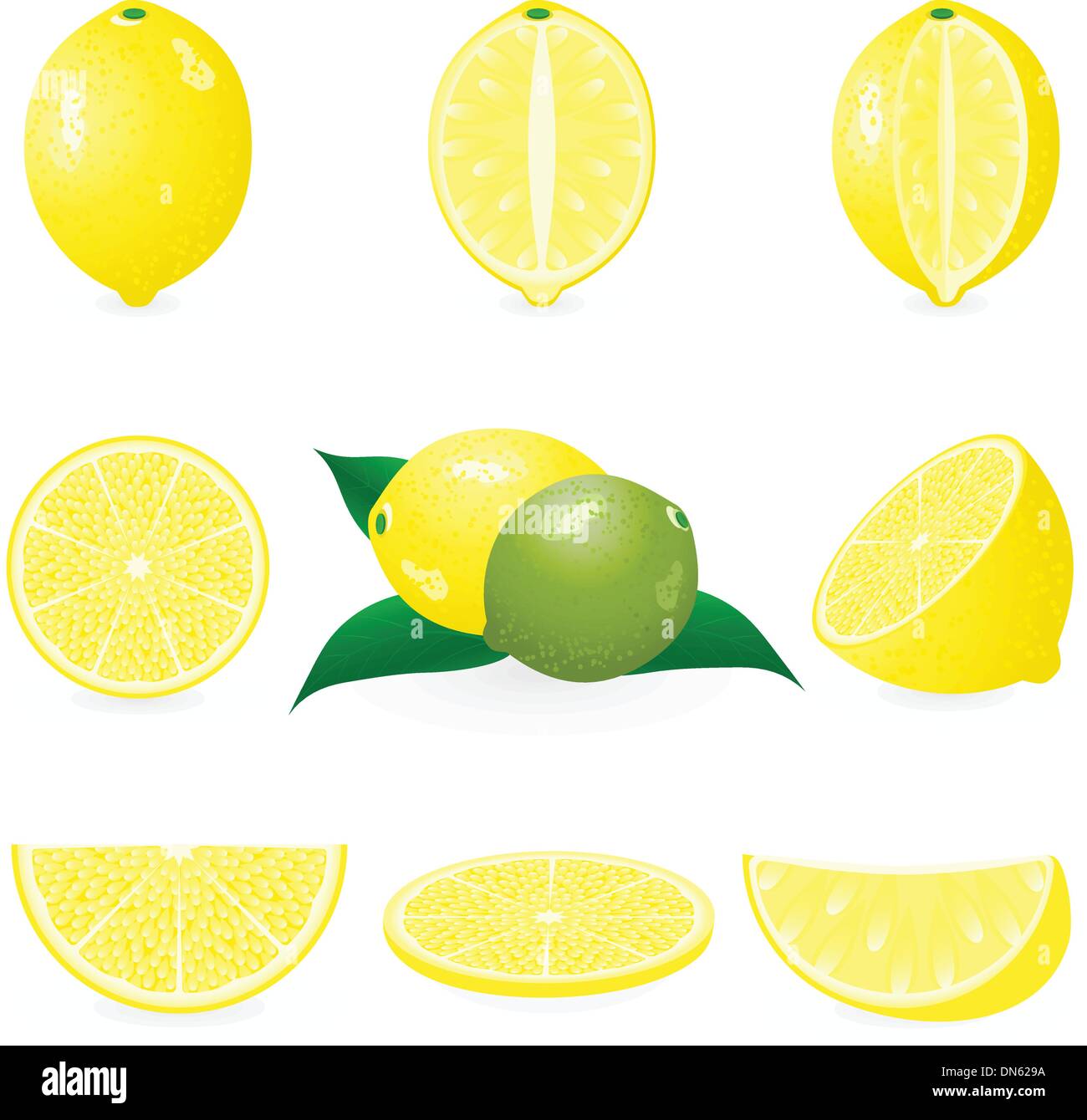 Lemon Stock Vector
