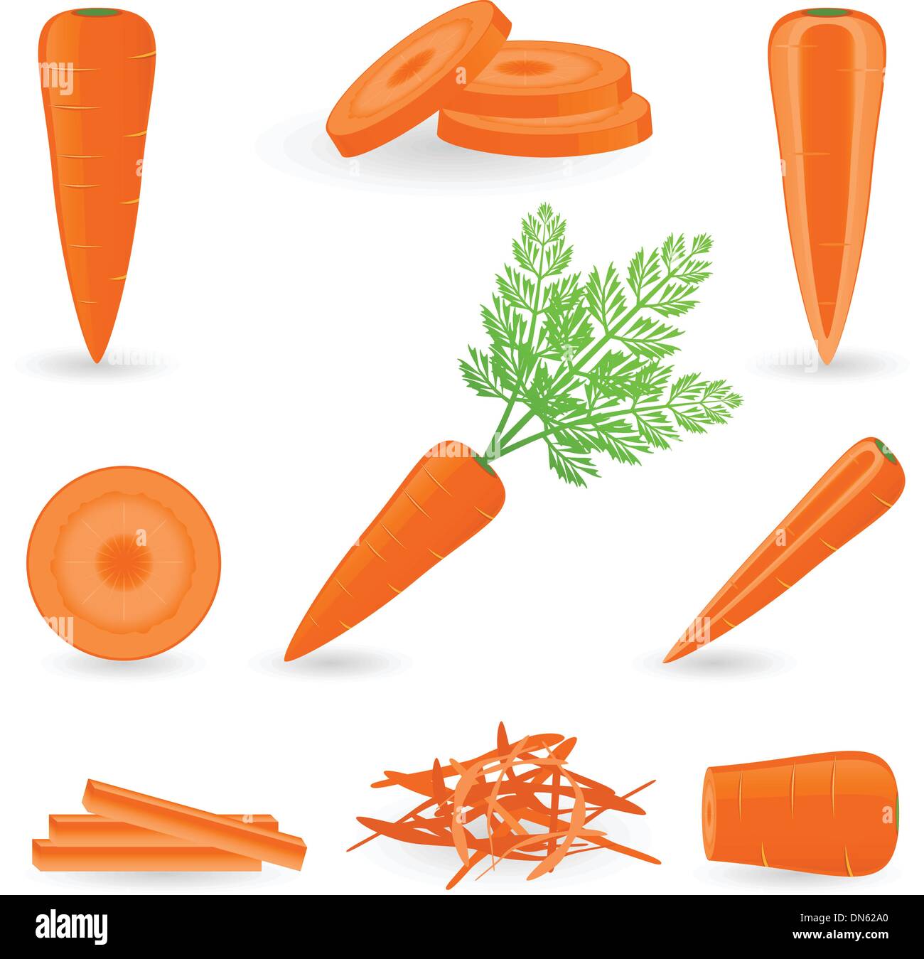 Carrot Stock Vector