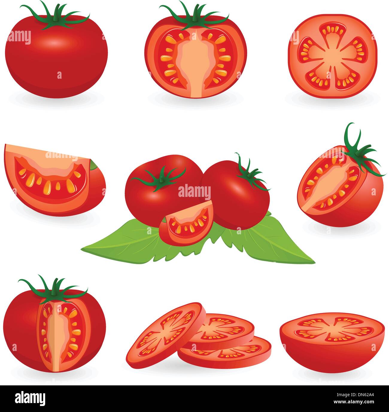 Tomato Stock Vector