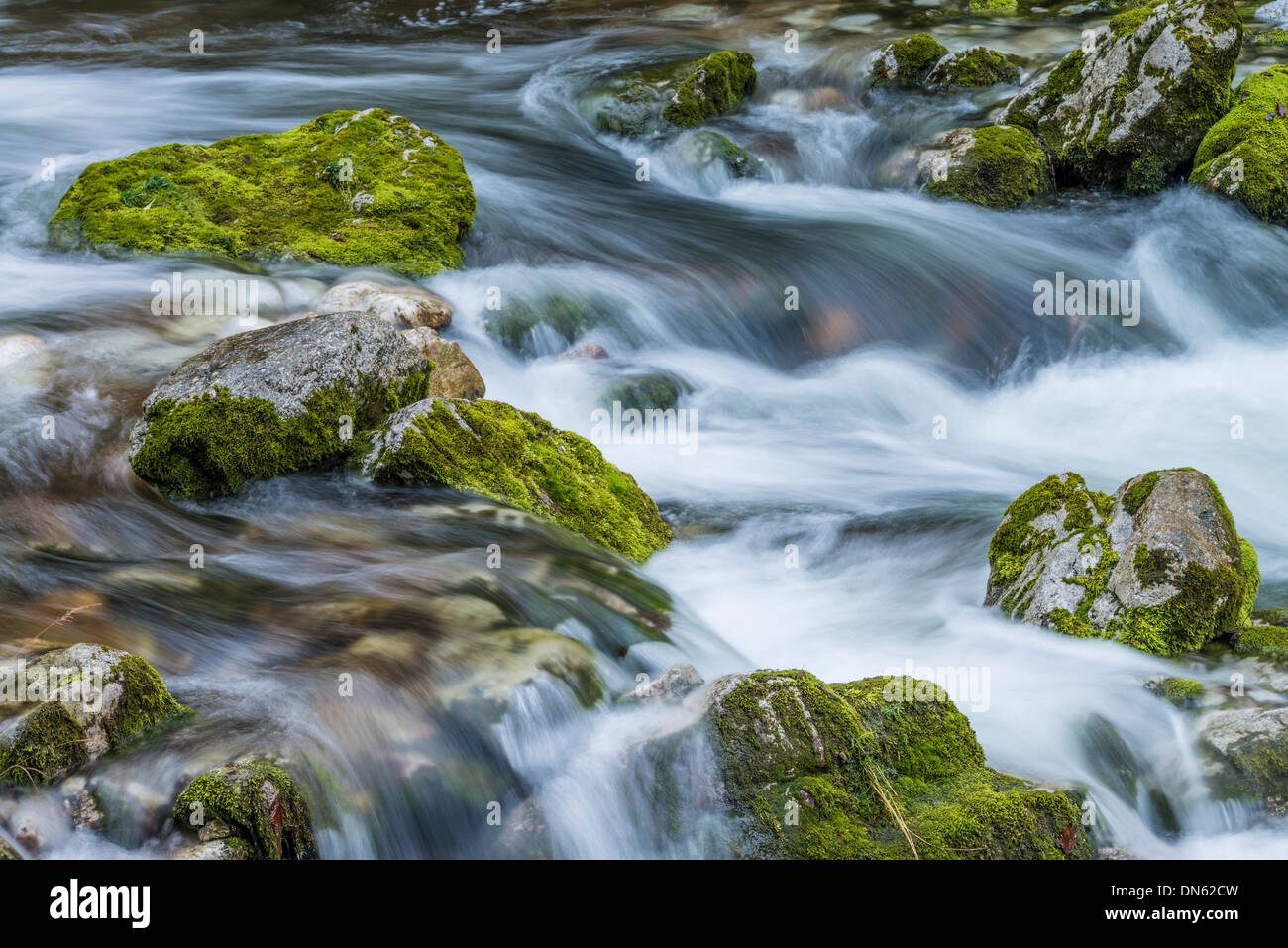 Bach, Hartl ditch, Gesaeuse National Park, Styria, Austria Stock Photo