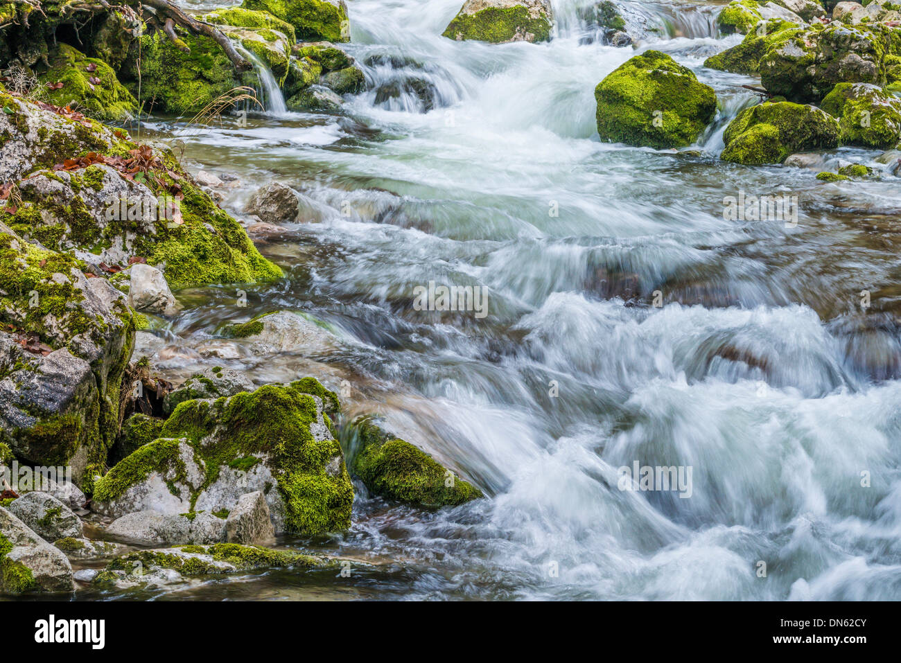 Bach, Hartl ditch, Gesaeuse National Park, Styria, Austria Stock Photo