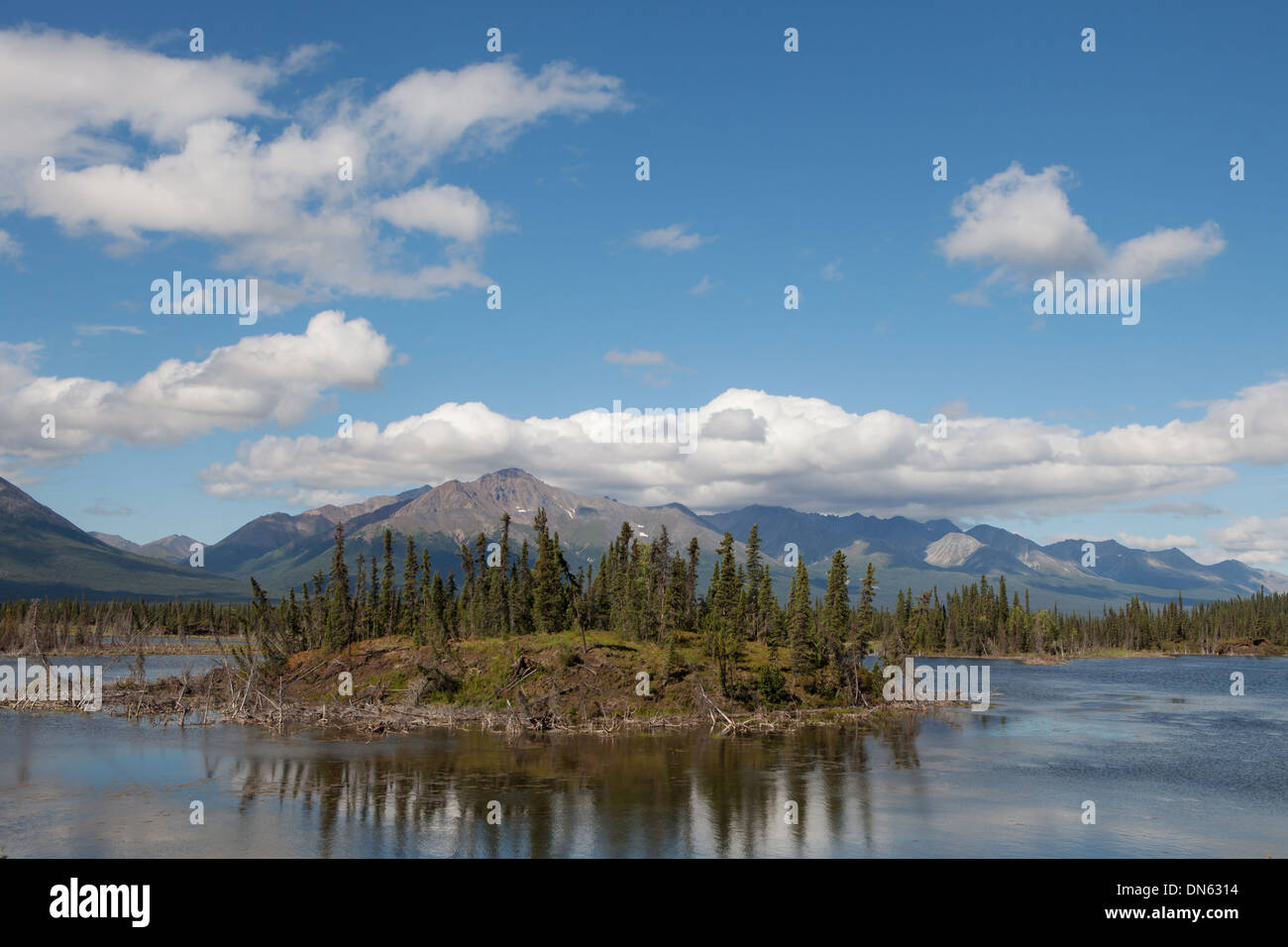 Tok, alaska hires stock photography and images Alamy