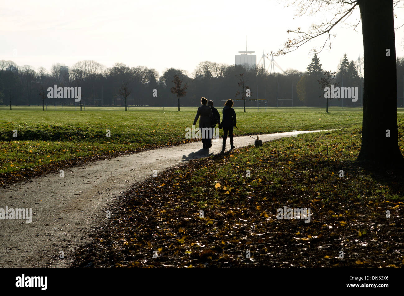 Three women walking a dog in the park, Blackwier, Bute Park, Cardiff, Wales. Stock Photo