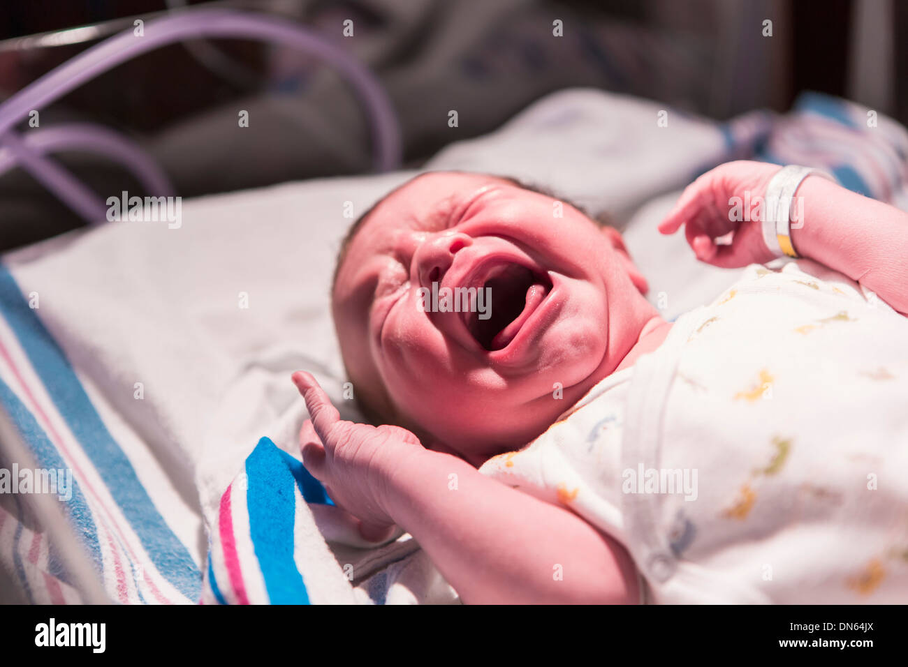 Caucasian newborn baby crying in hospital crib Stock Photo Alamy