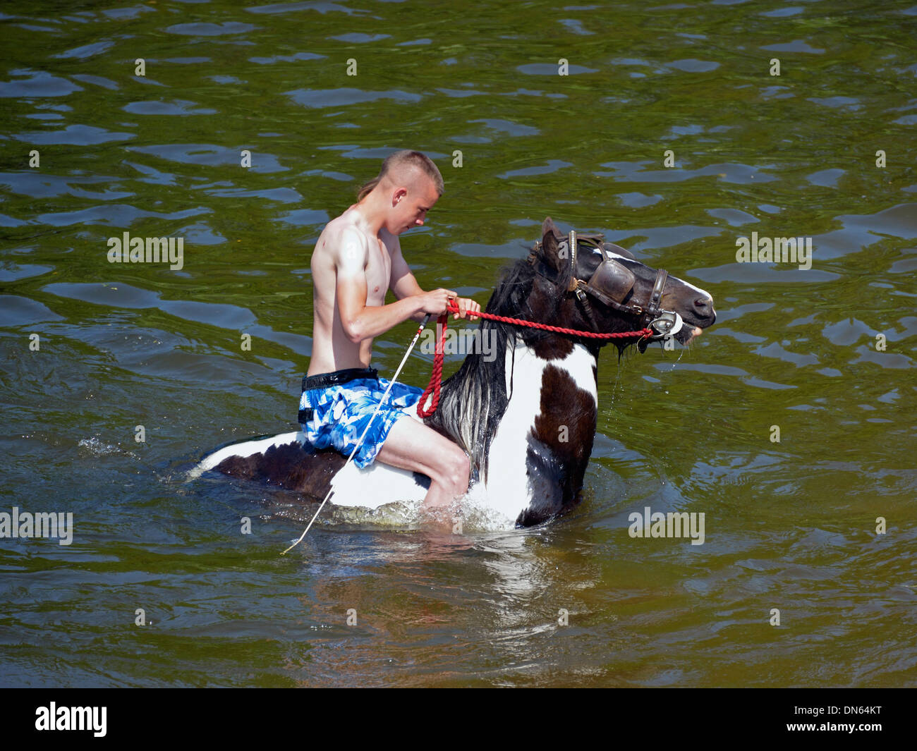 Gypsy traveller riding horse in River Eden. Appleby Horse Fair, Appleby-in-Westmorland, Cumbria, England, United Kingdom, Europe Stock Photo