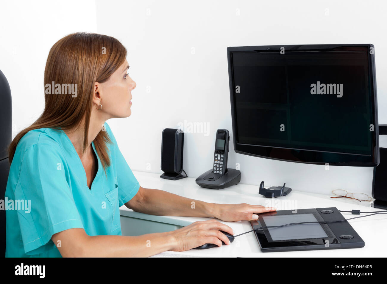 Female Dentist Using Computer Stock Photo