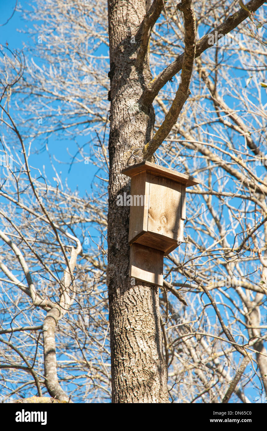 birds nest hanging on a tree Stock Photo Alamy