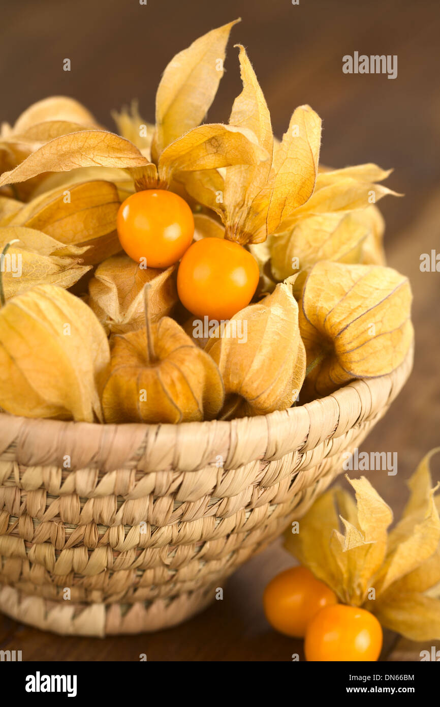 Physalis berry fruits (lat. Physalis peruviana) with husk in basket Stock Photo