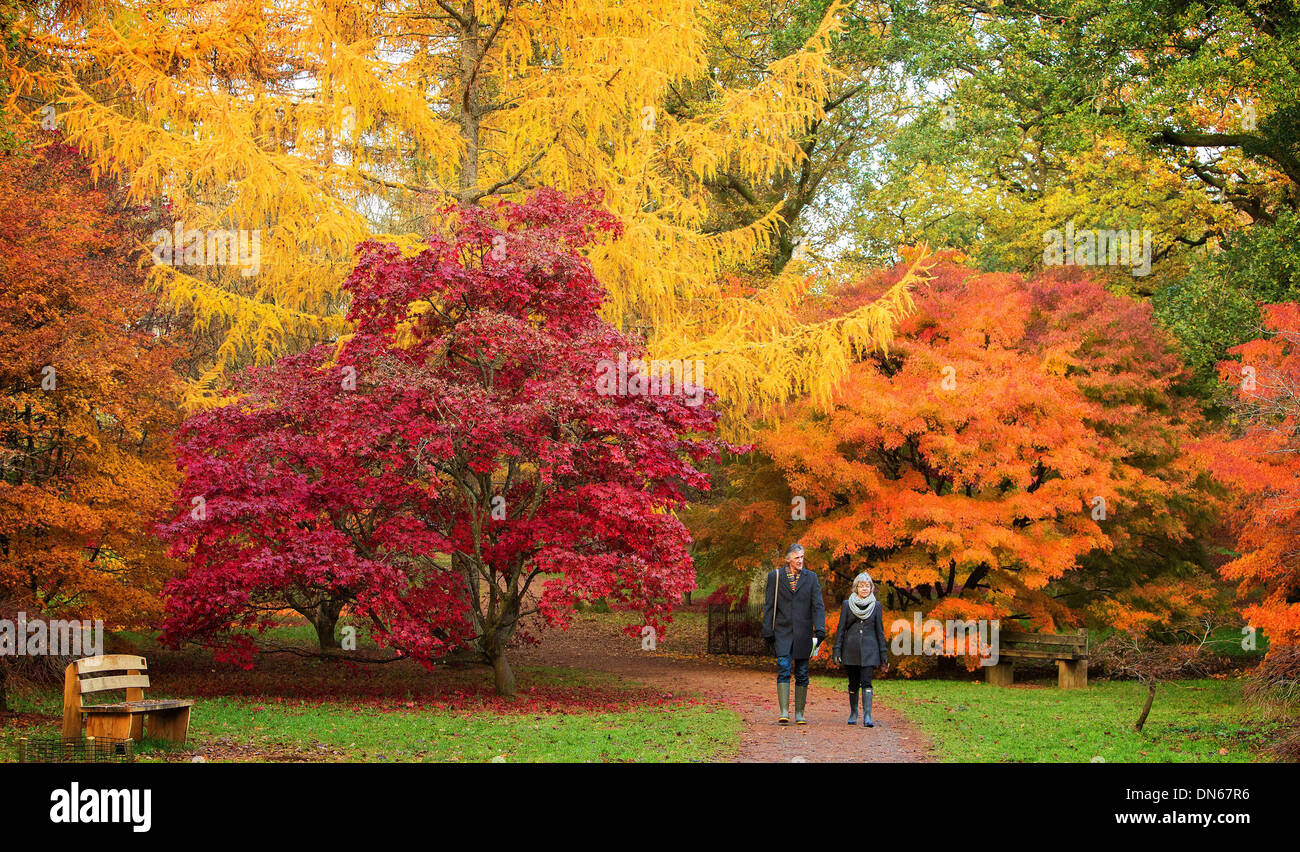 The National Arboretum in Westonbirt, Gloucestershire, enjoy the most ...