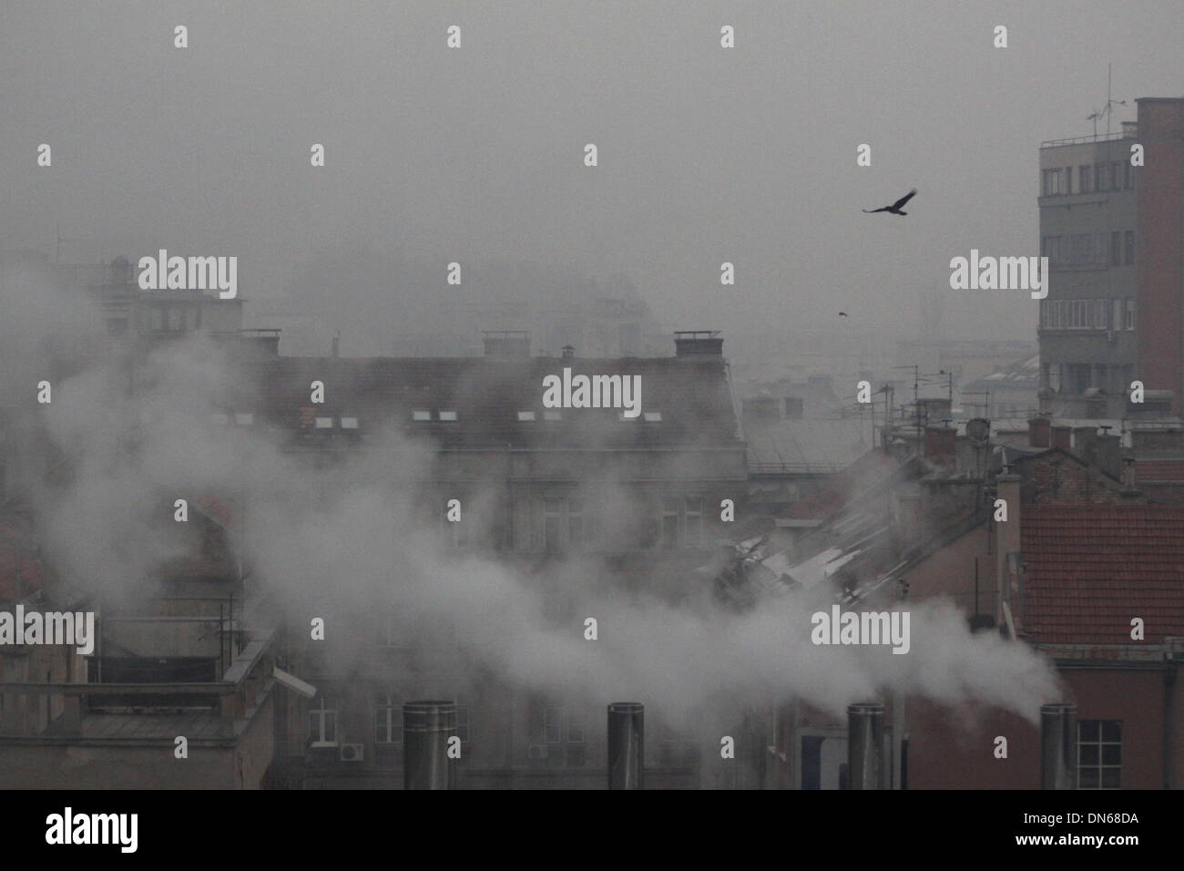Sarajevo, Bosnia and Herzegovina. 19th Dec, 2013. A bird flies in the heavy smog in Sarajevo, capital of Bosnia and Herzegovina, on Dec. 19, 2013. Air pollution in winter in Sarajevo became serious due to burning of coal and woods as well as the location of the city, which is surrounded by mountains. Credit:  Haris Memija/Xinhua/Alamy Live News Stock Photo
