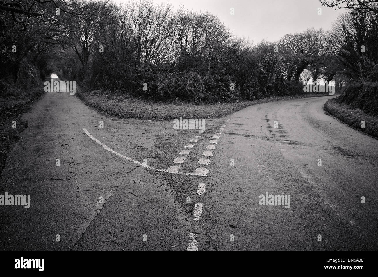 Two roads diverge in near Flushing, Cornwall, UK Stock Photo